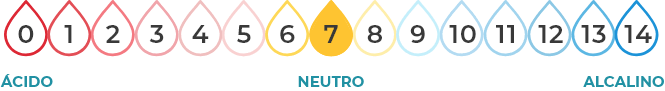 neutro 7